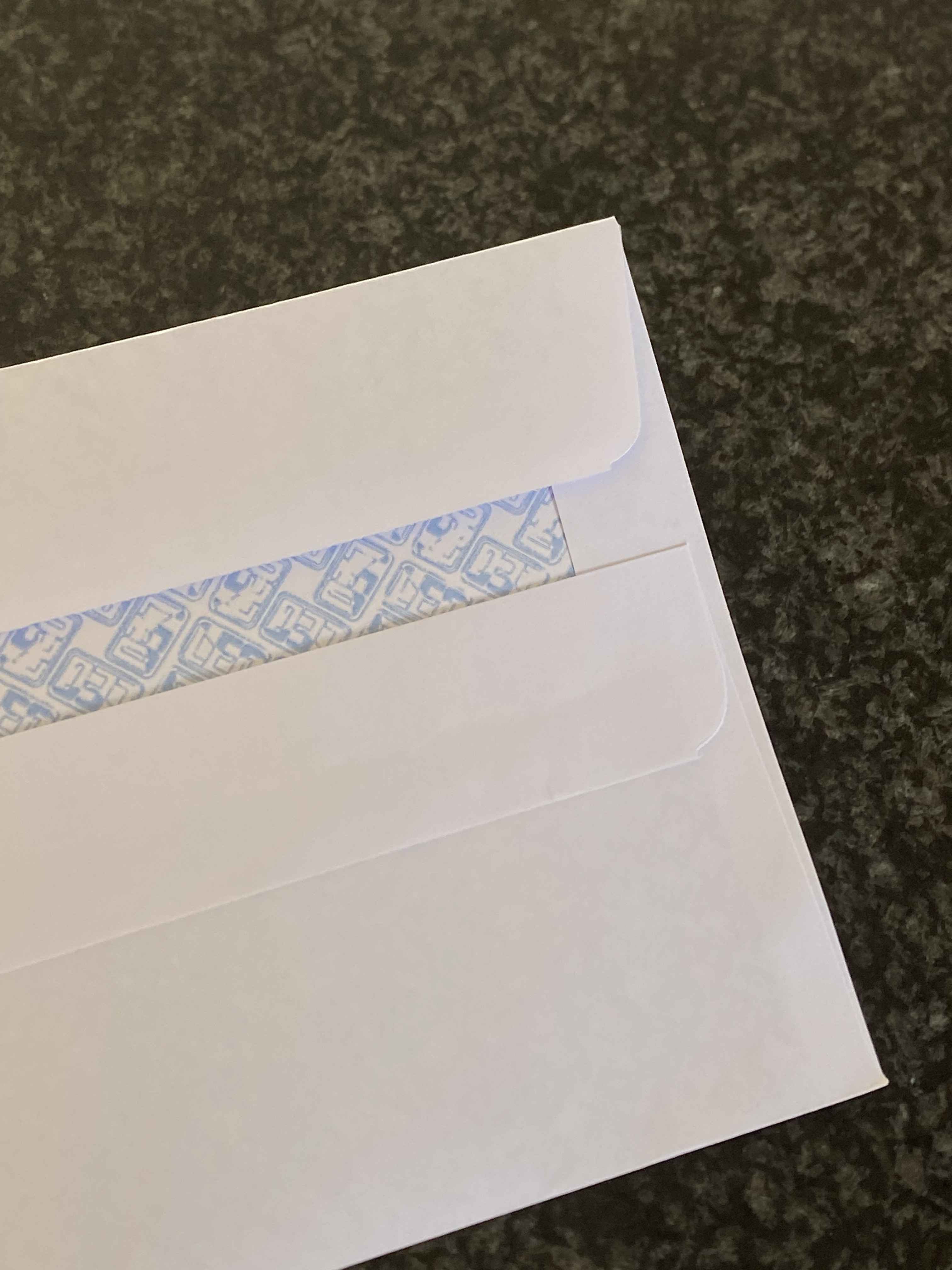 100-Envelope Bundle